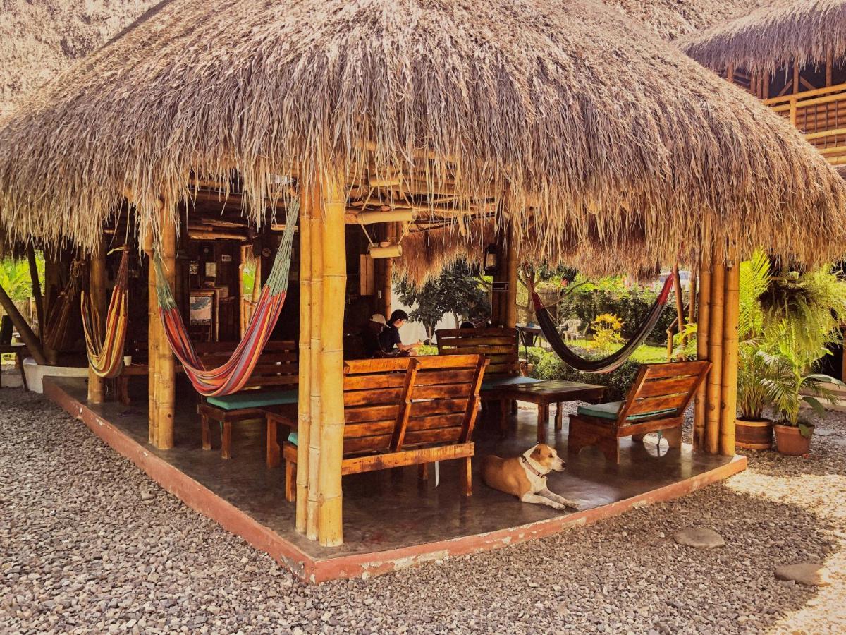 Coco Saenkala Hostel Palomino Eksteriør bilde